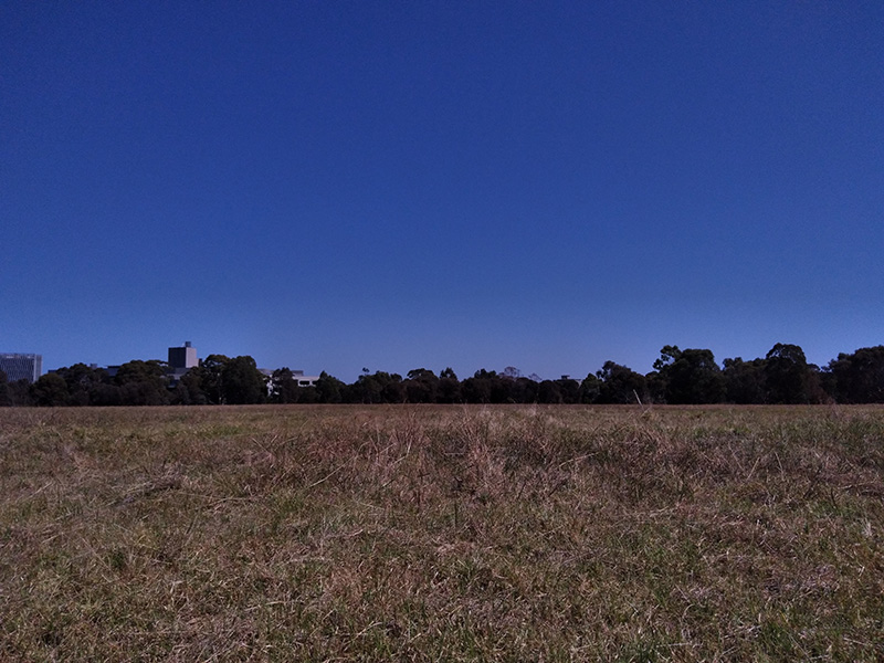 Photograph of Circular Grass Field